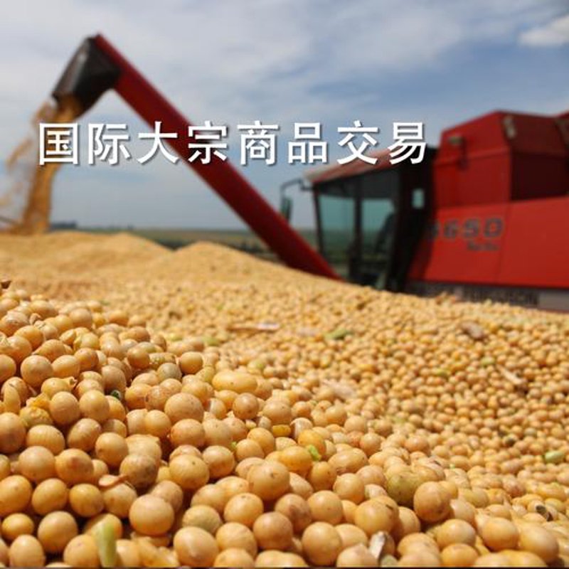 山西商贸公司：市场风云中的舵手